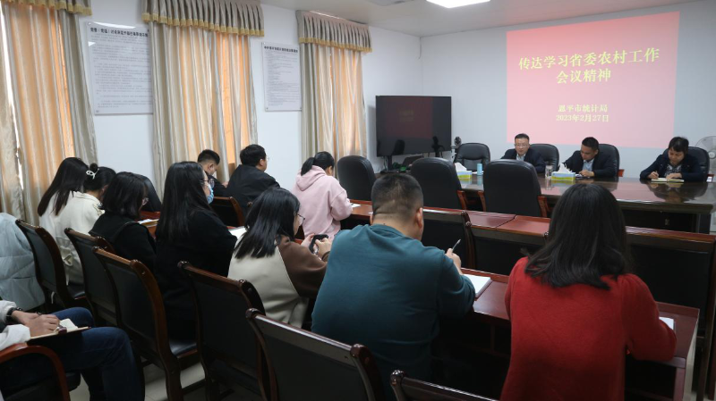 市统计局组织召开传达学习贯彻省市县有关会议精神专题工作会议